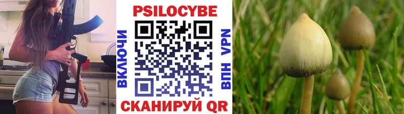 Псилоцибиновые грибы прущие грибы  дарнет шоп  Джанкой 