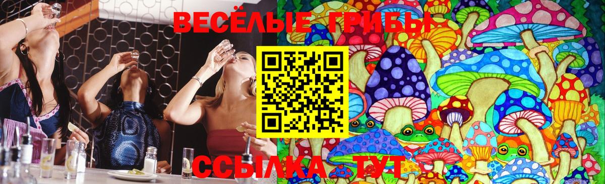 Каннабис  ГАШ  Джанкой  Меф МЯУ МЯУ   Вход с VPN  NBOMe 