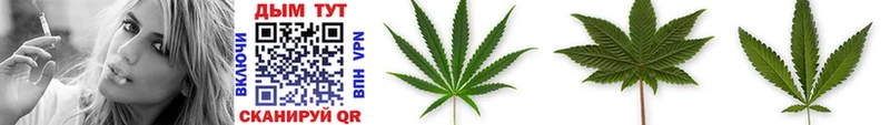 МЕГА маркетплейс  Джанкой  Бошки Шишки White Widow 